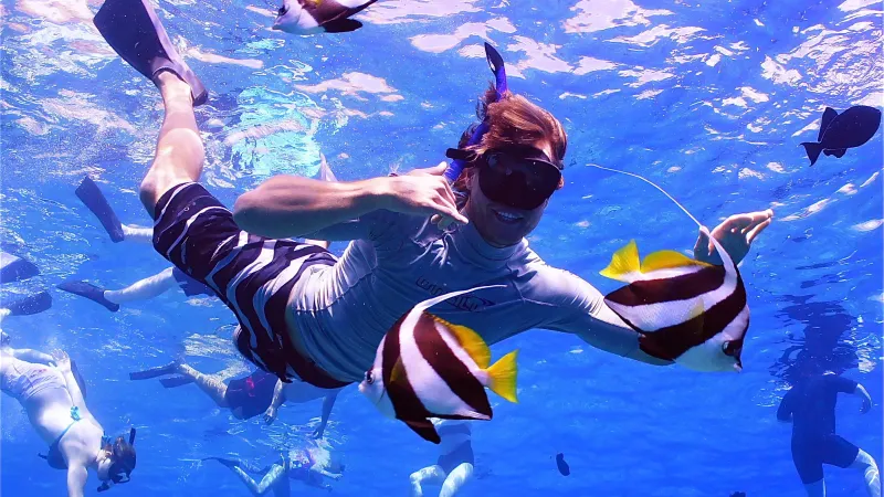a group of people swimming in the water