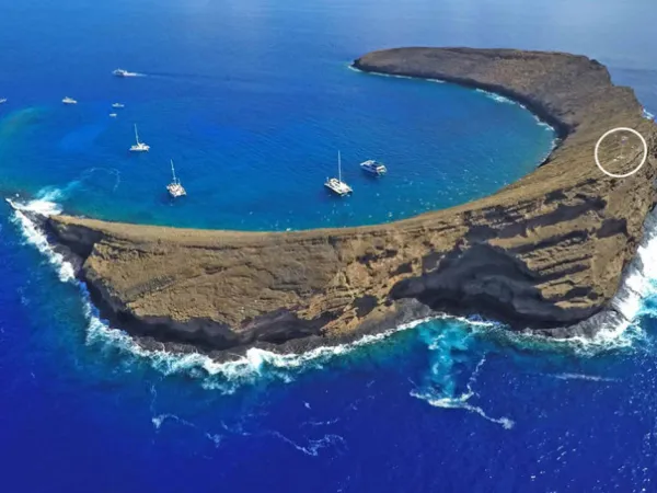 a large body of water