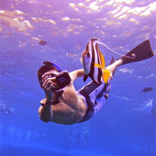 a person swimming in the water