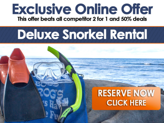 a close up of a sign