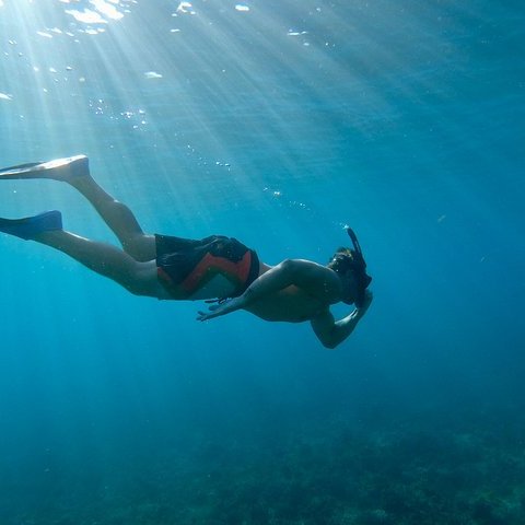 a person flying through the air while swimming in a body of water