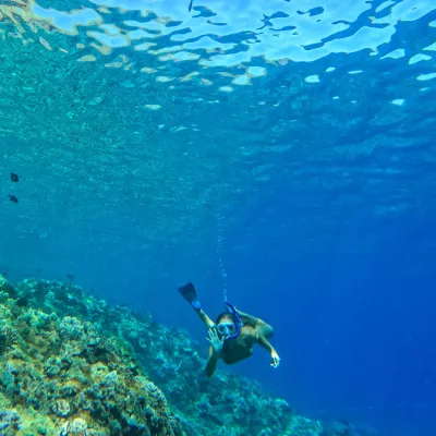 a man swimming in the water